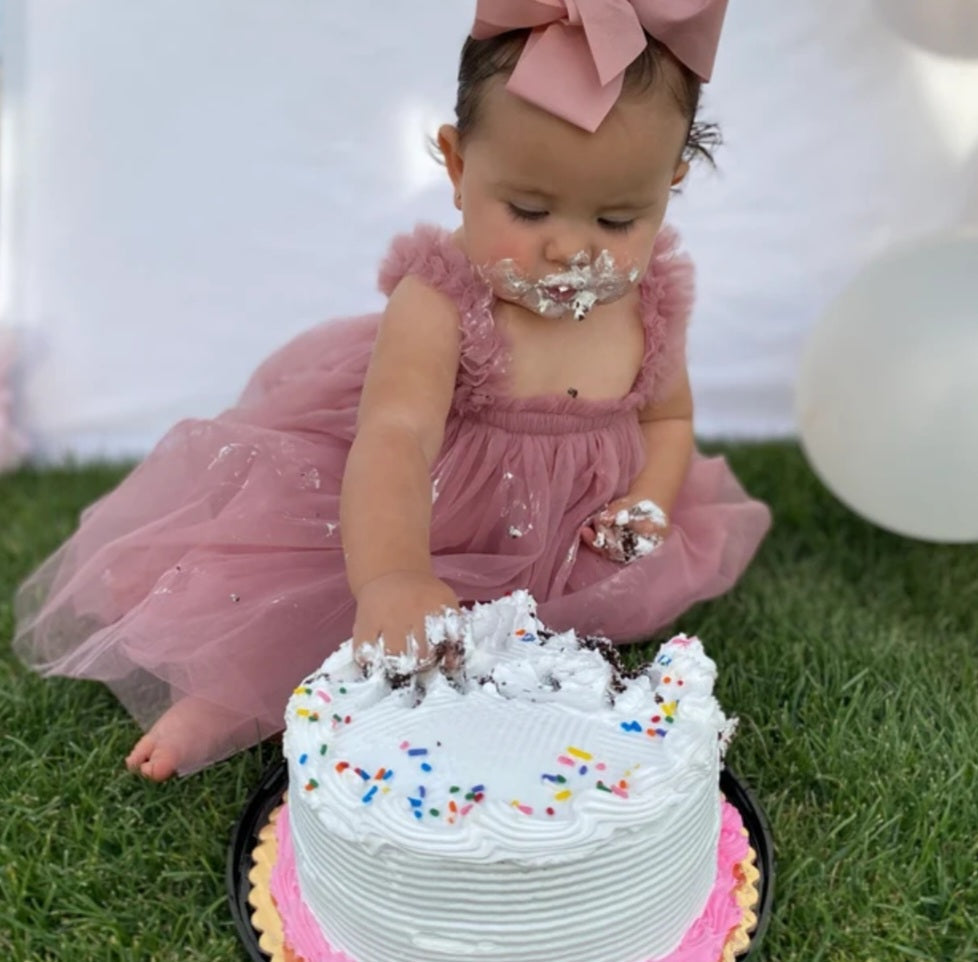 Blush Tulle Dress