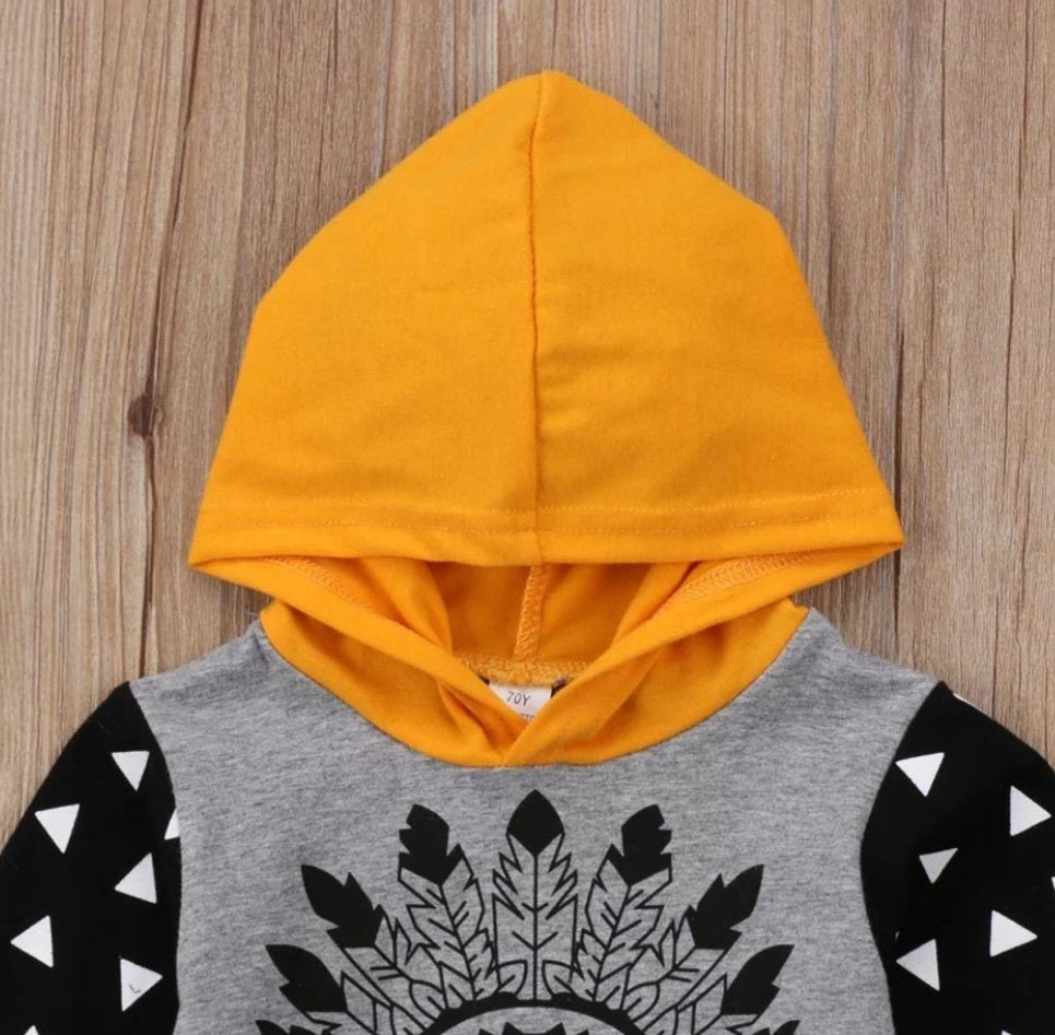 Lion Hoodie and Pants