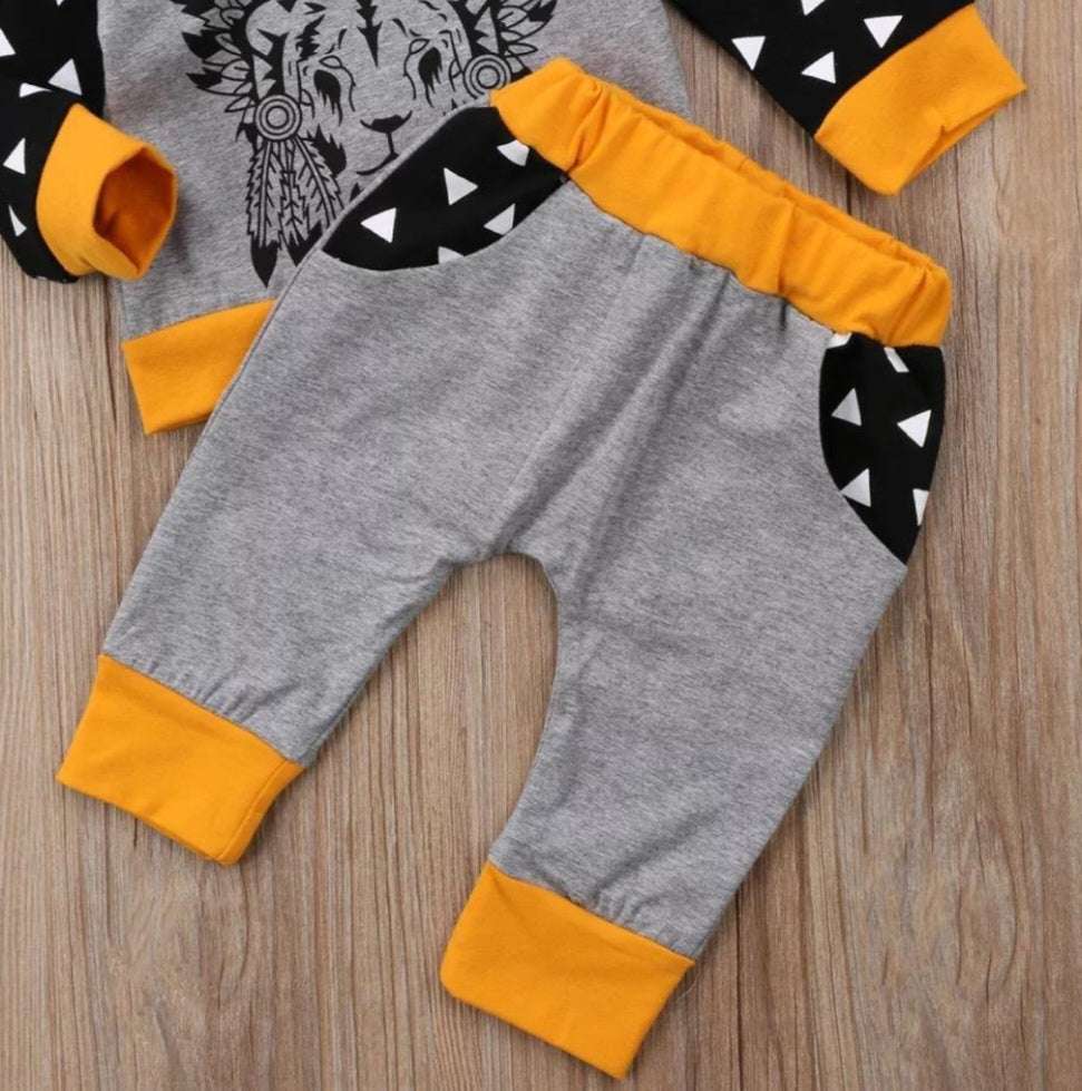 Lion Hoodie and Pants