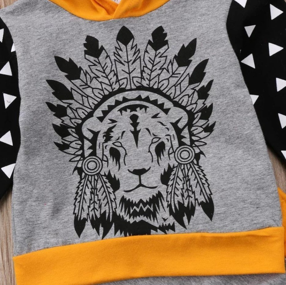 Lion Hoodie and Pants