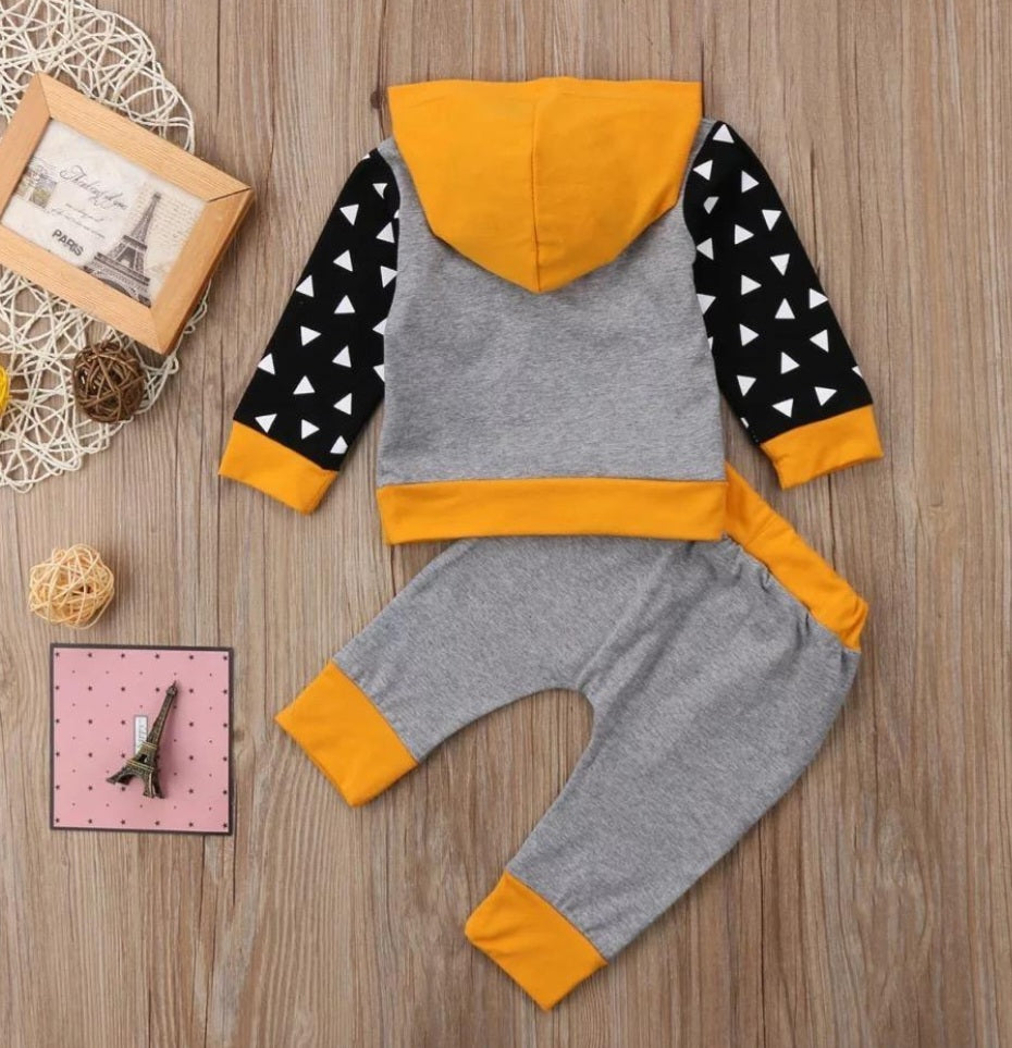 Lion Hoodie and Pants