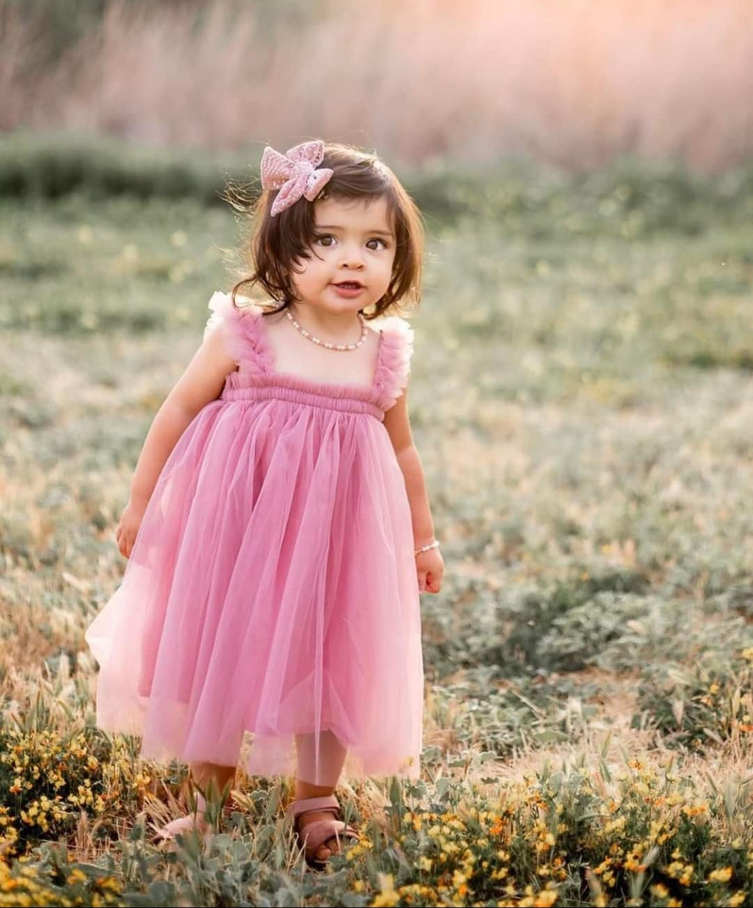 Blush Tulle Dress