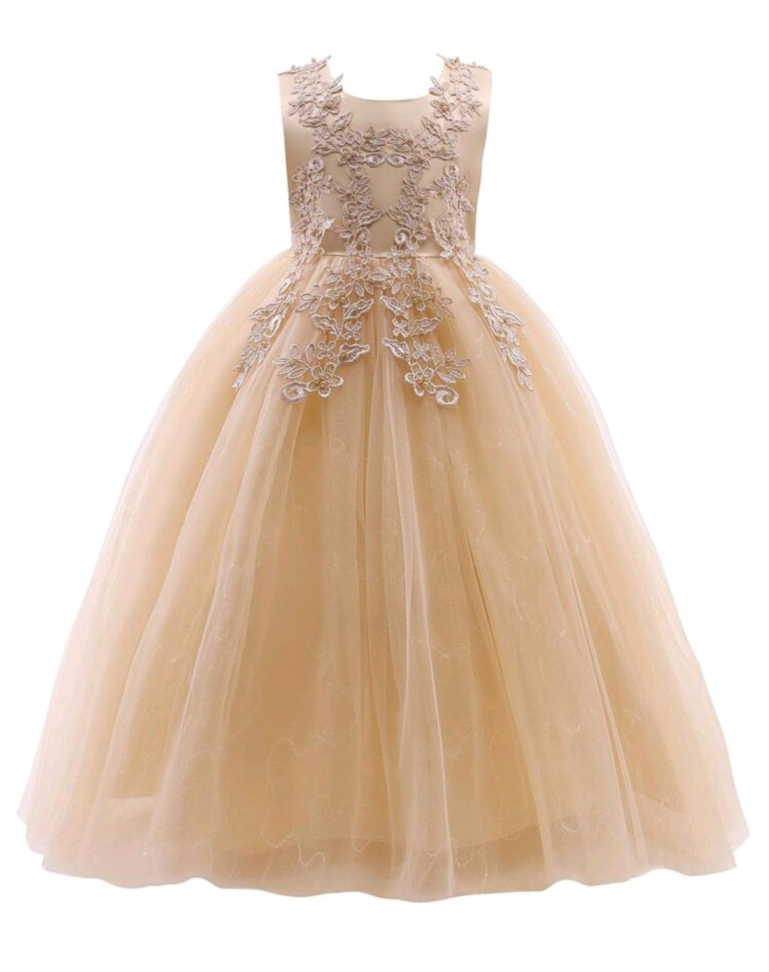 Ivory Dress Embellished Special Occasions Dress