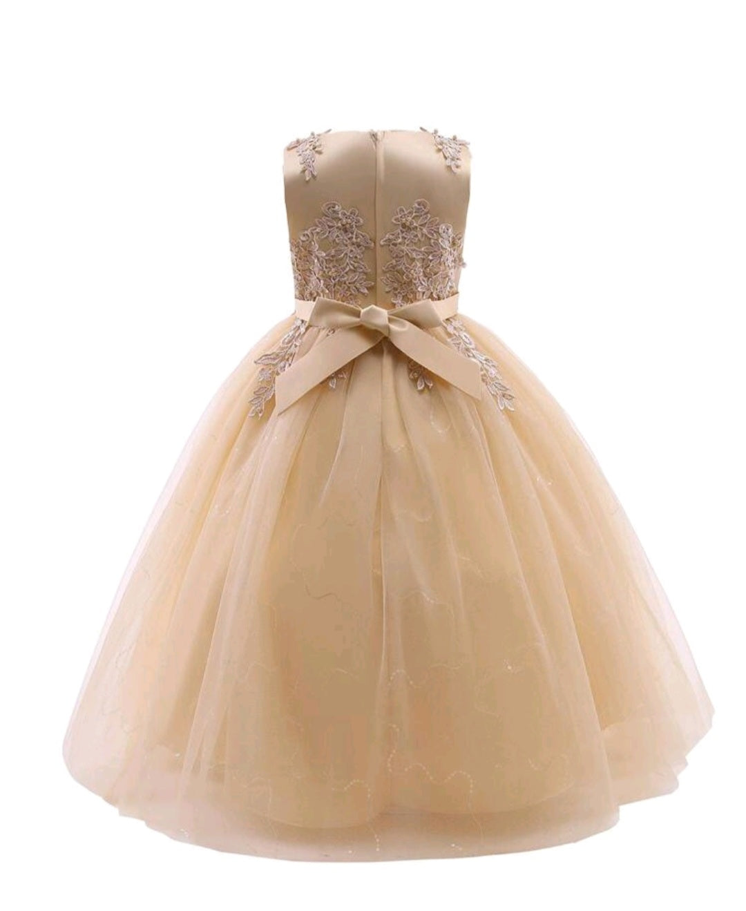 Ivory Dress Embellished Special Occasions Dress