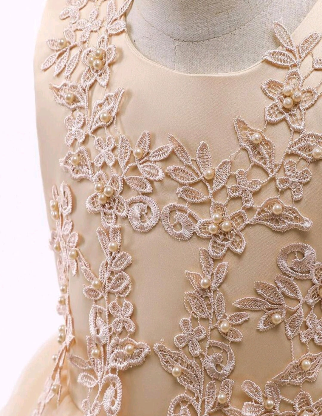 Ivory Dress Embellished Special Occasions Dress