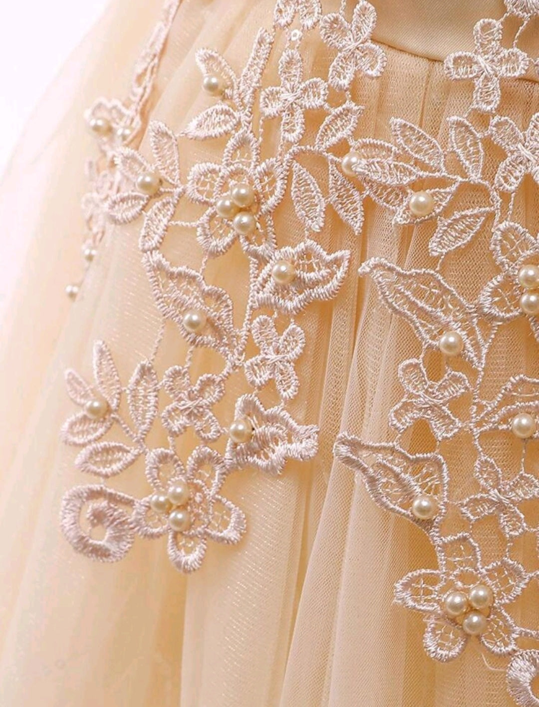Ivory Dress Embellished Special Occasions Dress