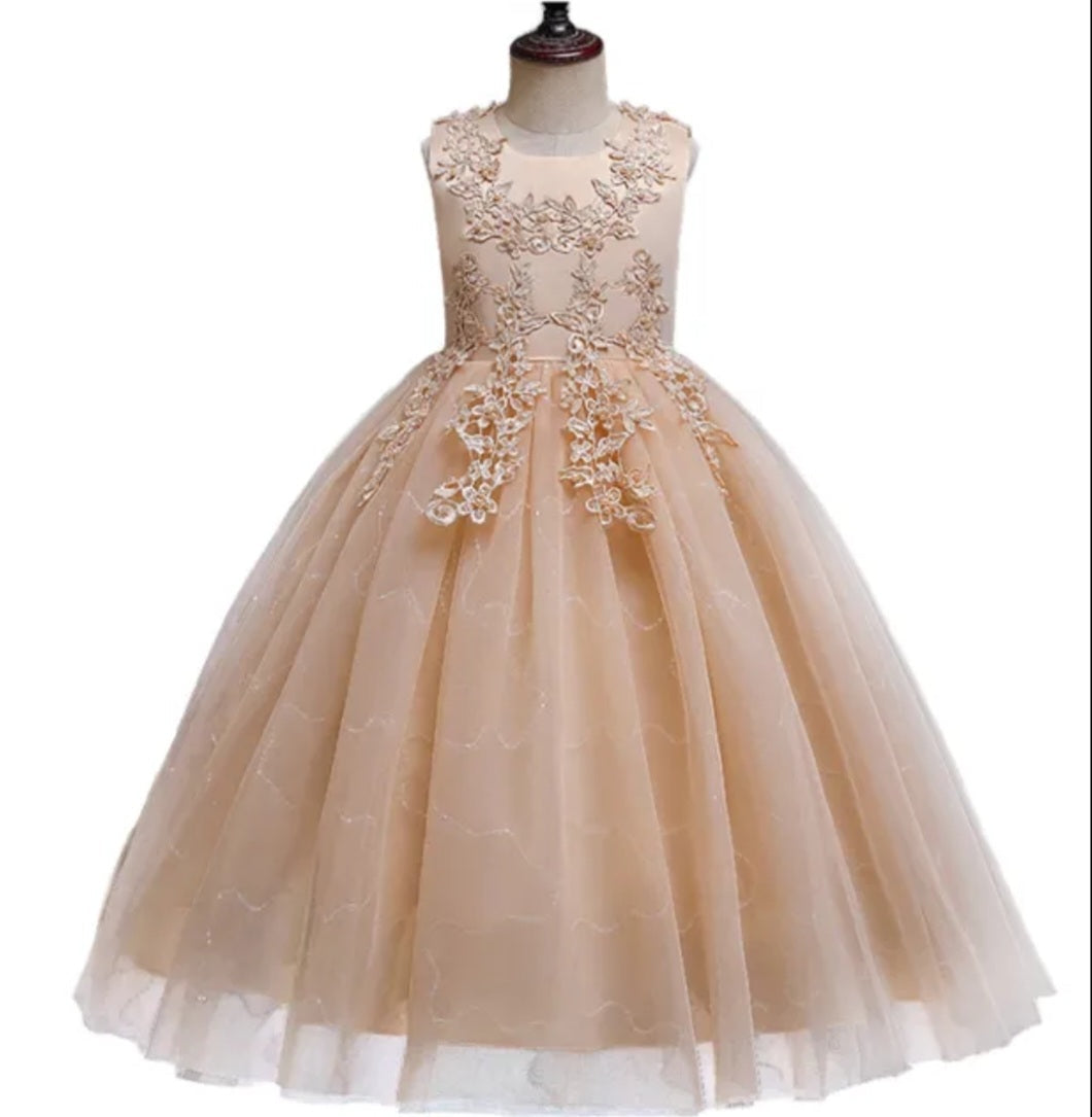 Ivory Dress Embellished Special Occasions Dress