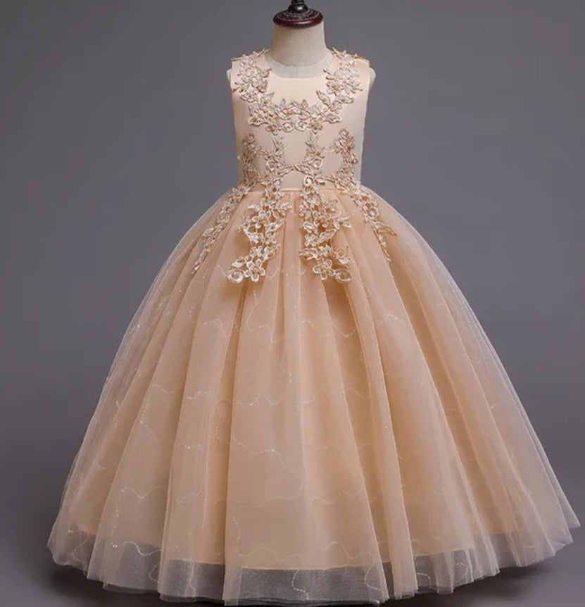 Ivory Dress Embellished Special Occasions Dress