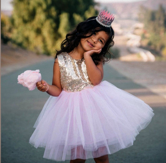 Gold Seuince Pink Tutu Dress