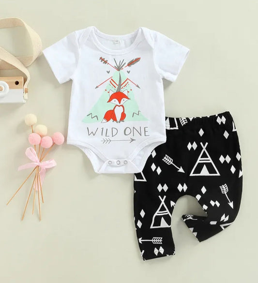 Wild One Birthday Outfit&nbsp;
